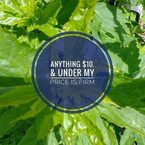 Items mark $10 and under